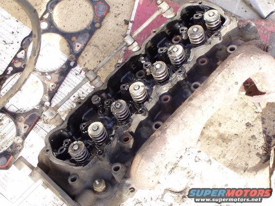 7.3-diesel-(11).jpg Top of head