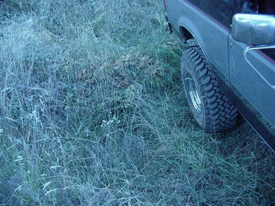 jeep_shakedown_092.jpg Its hard to see, thats why i almost went in it