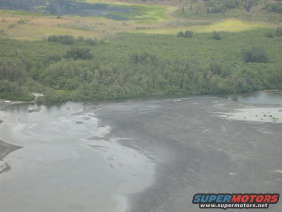 Aerial view of a body of water with dark swirling patterns, bordered by trees and a grassy field