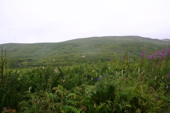 2007-h-aug-04_118.jpg 