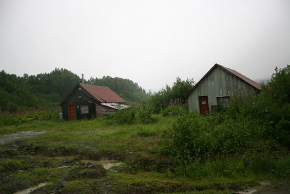 Two cabins with red roofs sit in a grassy, overgrown area with muddy puddles in the foreground