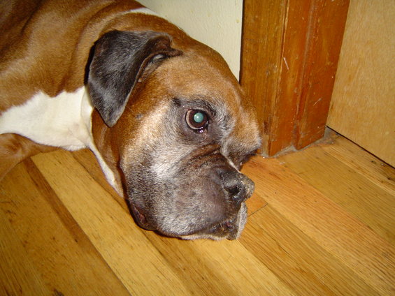 dsc03616.jpg Chavez, not feelin well. Turns out to be his last day