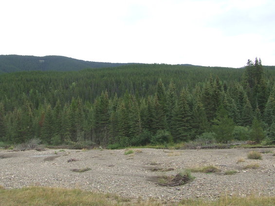 Forest-covered mountains and a gravelly riverbed under a cloudy sky