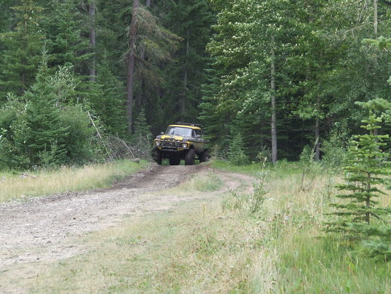 Yellow and black off-road vehicle with large tires on a dirt road, surrounded by trees