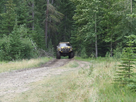 Yellow 1990 Ford Bronco on a dirt road in a forest