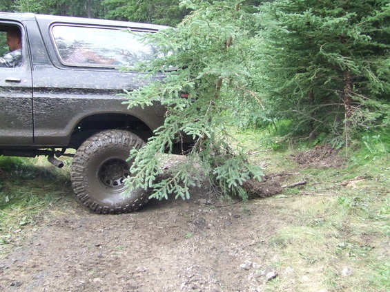 Side view of a muddy, dark-colored 1978 Ford Bronco driving through trees
