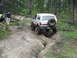 1988 Ford Bronco - White Ford Bronco tackles a challenging off-road trail, its capabilities.