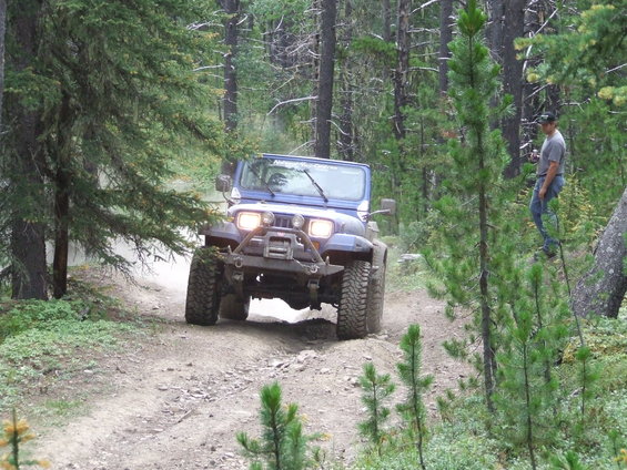 Blue Jeep Wrangler driving on a dirt path through a pine forest. A person stands on the side of the road