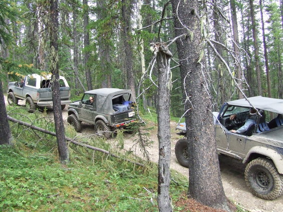 Three off-road vehicles drive on a dirt path through a forest. One is a pickup truck, and the other two are smaller SUVs