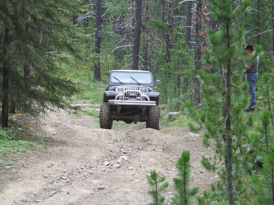 Black Jeep Wrangler on a dirt road in a forest