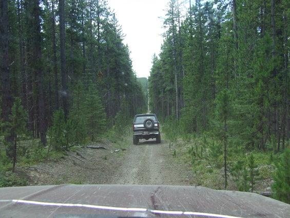Ford Bronco driving down a dirt road through a pine forest