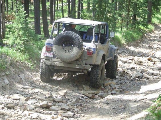 Rear view of a blue and white off-road vehicle navigating a rocky trail