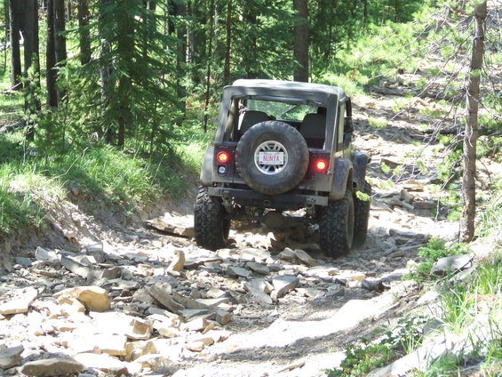 Jeep Wrangler driving on a rocky trail through a forest