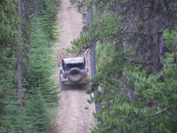 Jeep Wrangler on a dirt road through a forest