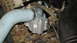 1998 Ford Crown Victoria - This is a close-up view of a vehicle's engine coolant thermostat housing and a connected hose.