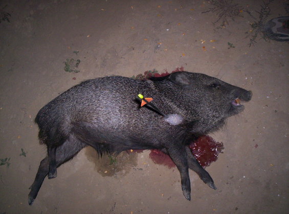 image001.jpg Javi in Mexico 