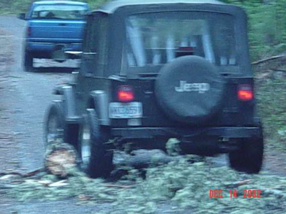 christmas_tree_run_2002_027.jpg Franks turn