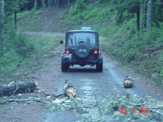 christmas_tree_run_2002_028.jpg No problem