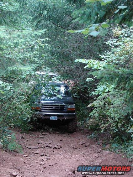 Dark green 1995 Ford Bronco on a rocky, wooded trail