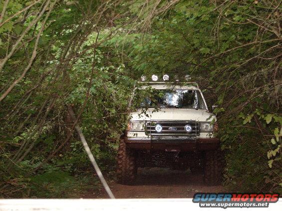 White off-road SUV with roof lights and bull bar drives through dense foliage