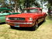 1965 Ford Mustang - A red 1965 Ford Mustang coupe is parked on a grassy lawn next to a green car under trees.