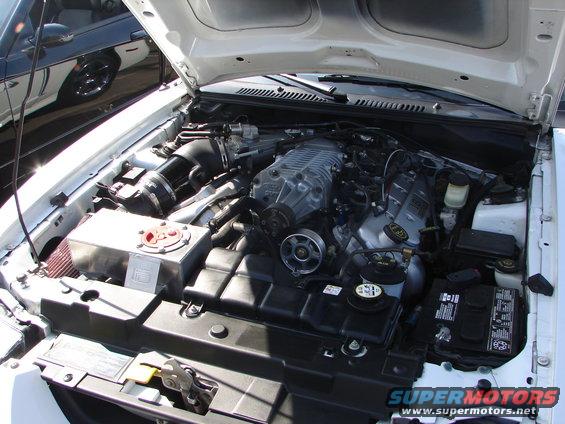 Engine bay of a car with a prominent supercharger and aftermarket coolant tank. Another car is visible in the background
