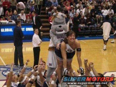 doggystylecheerleader.jpg 