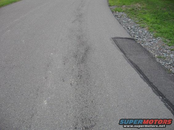 Asphalt road with gravel shoulder and grass verge, showing dark fluid stains