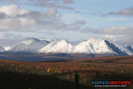 Snow-capped mountains overlook a landscape of autumn trees and evergreen forest under a cloudy sky