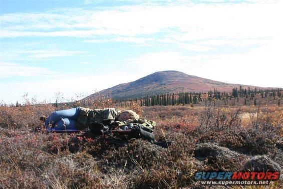 Person sleeping outdoors in a field with a mountain in the background