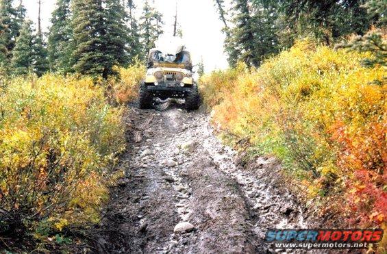 Yellow Jeep CJ climbing a steep, muddy, and rocky trail surrounded by autumn foliage and pine trees