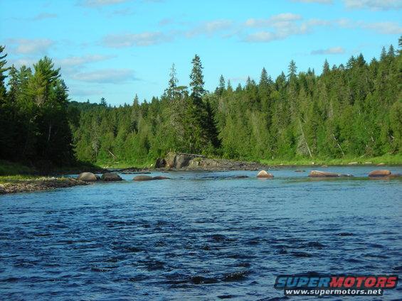 River flowing through a forest with rocks in the water