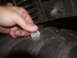 1991 Ford Bronco - A hand is shown holding a coin to the tread of a tire, likely to gauge its depth.