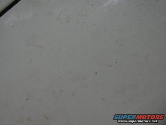 Close-up of a dirty, light-colored car hood with some small spots and a faint scratch