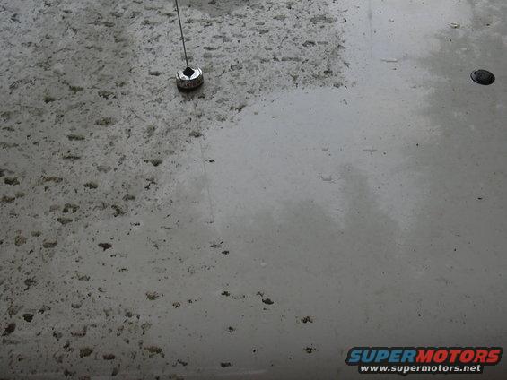 Car hood with an antenna base and water spots. Supermotors.net logo in corner