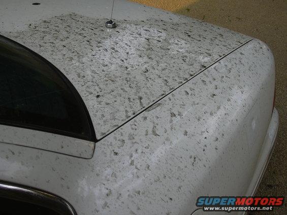 White car's trunk and rear quarter panel covered in dirt and debris. Antenna visible on trunk