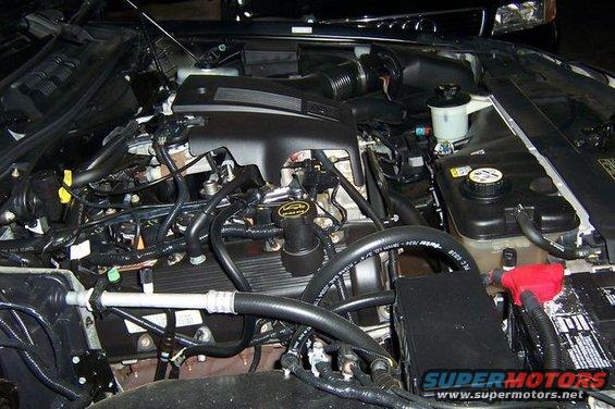 Engine bay of a 2003 Ford Crown Victoria, showing the V8 engine, battery, and various hoses and wiring