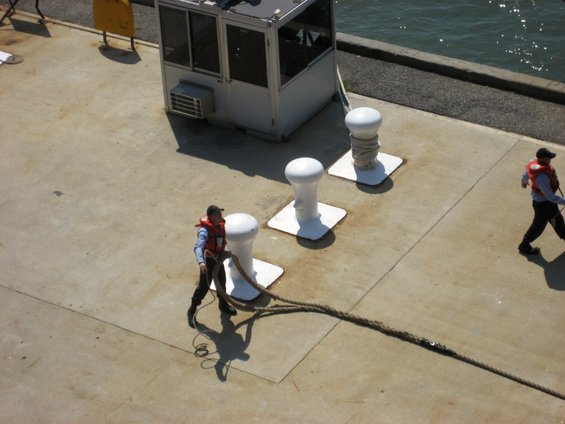 free.jpg Free from the pier