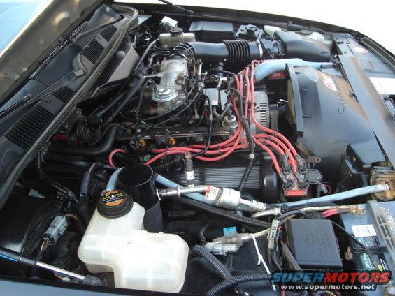 Engine bay of a 1992 Ford Crown Victoria, showing the V8 engine, red spark plug wires, and coolant reservoir