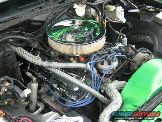 Engine bay with chrome air cleaner, blue spark plug wires, and green fender