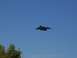 100_0544.jpg