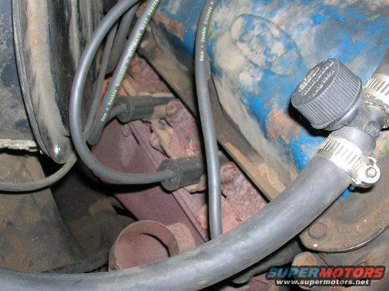 Close-up of engine components including spark plug wires, a distributor cap, and hoses
