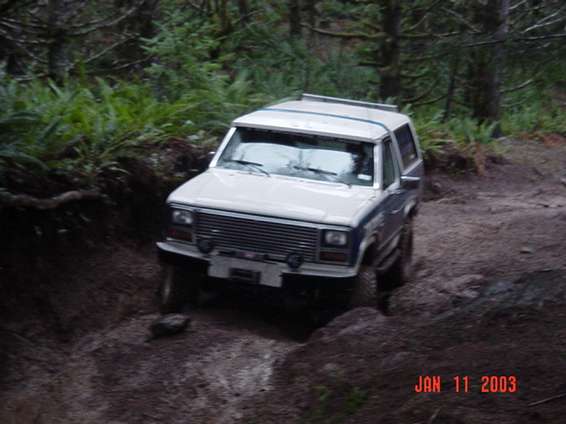 tsf_11103_211.jpg Almost to the root