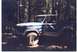 1989 Ford Bronco - Good thing Todd has the winch