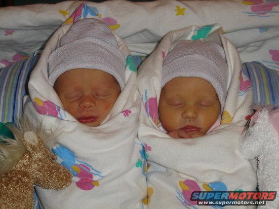 Two newborn babies swaddled in blankets and wearing caps, with a stuffed horse toy