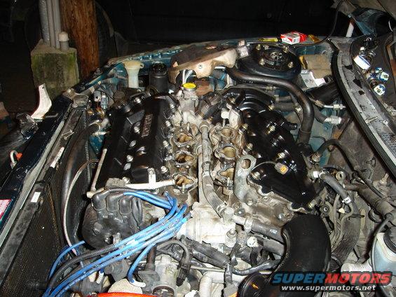 Engine bay of a 1995 Mazda MX-6 with black valve covers and blue spark plug wires