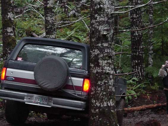 soa_shakedown_run_2203_franks_016.jpg Little touch on the tree