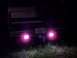 1996 Ford Bronco - The rear of a 1996 Ford Bronco is visible at night, illuminated by pink trailer lights.