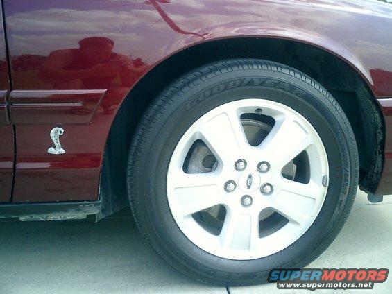 Added the Cobra Emblem from a Mustang just for the fun of it. Notice the Sport Wheels these are factory issue. But have since been replaced with new rims