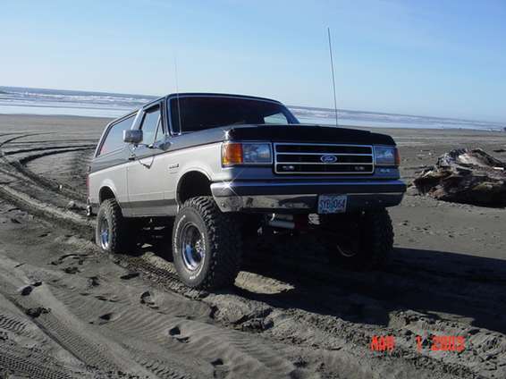 dog_beach_trip_3103_086.jpg Playing in 2wd
